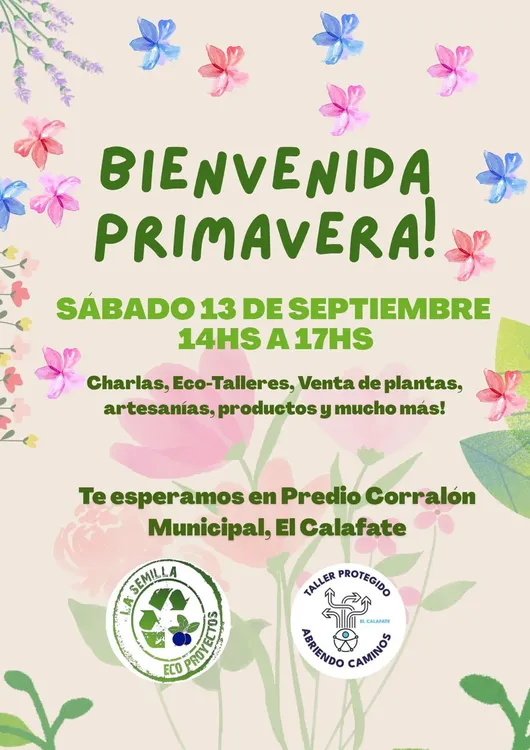 WhatsApp Image 2025-09-10 at 11.13.15