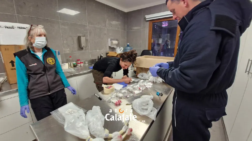 IMG-20250503-WA0018~1