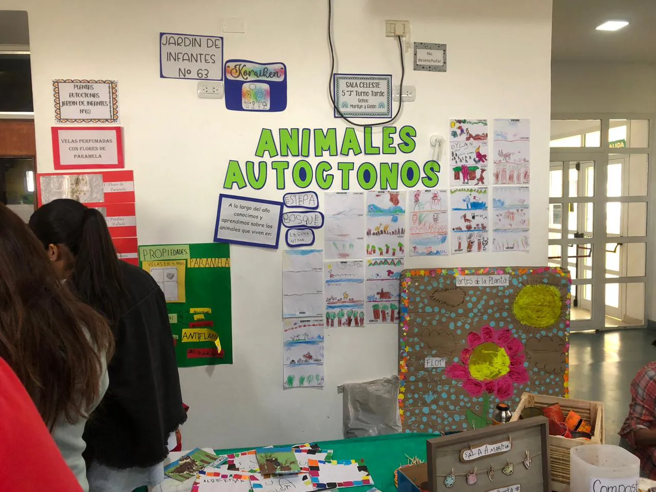 WhatsApp Image 2024-11-05 at 07.49.09(1)