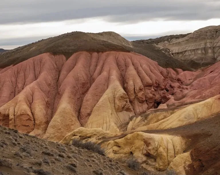 71C746E3-C819-46F2-8898-0AA6D79AB19D