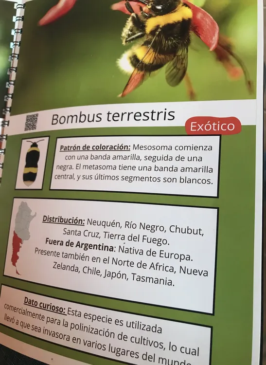 FC5B959B-F0D9-4203-A5DF-DC5D1F92ED7A