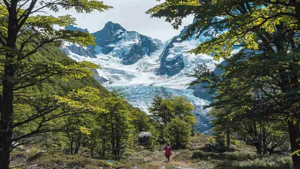 refugio-de-glaciares-