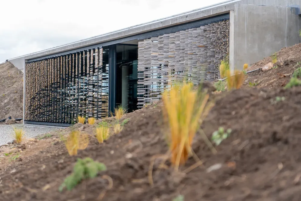 WhatsApp Image 2023-12-11 at 09.10.37