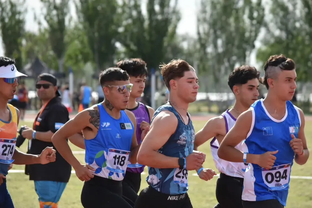 Imagen de WhatsApp 2025-12-08 a las 21.50.49_f6fc49fe