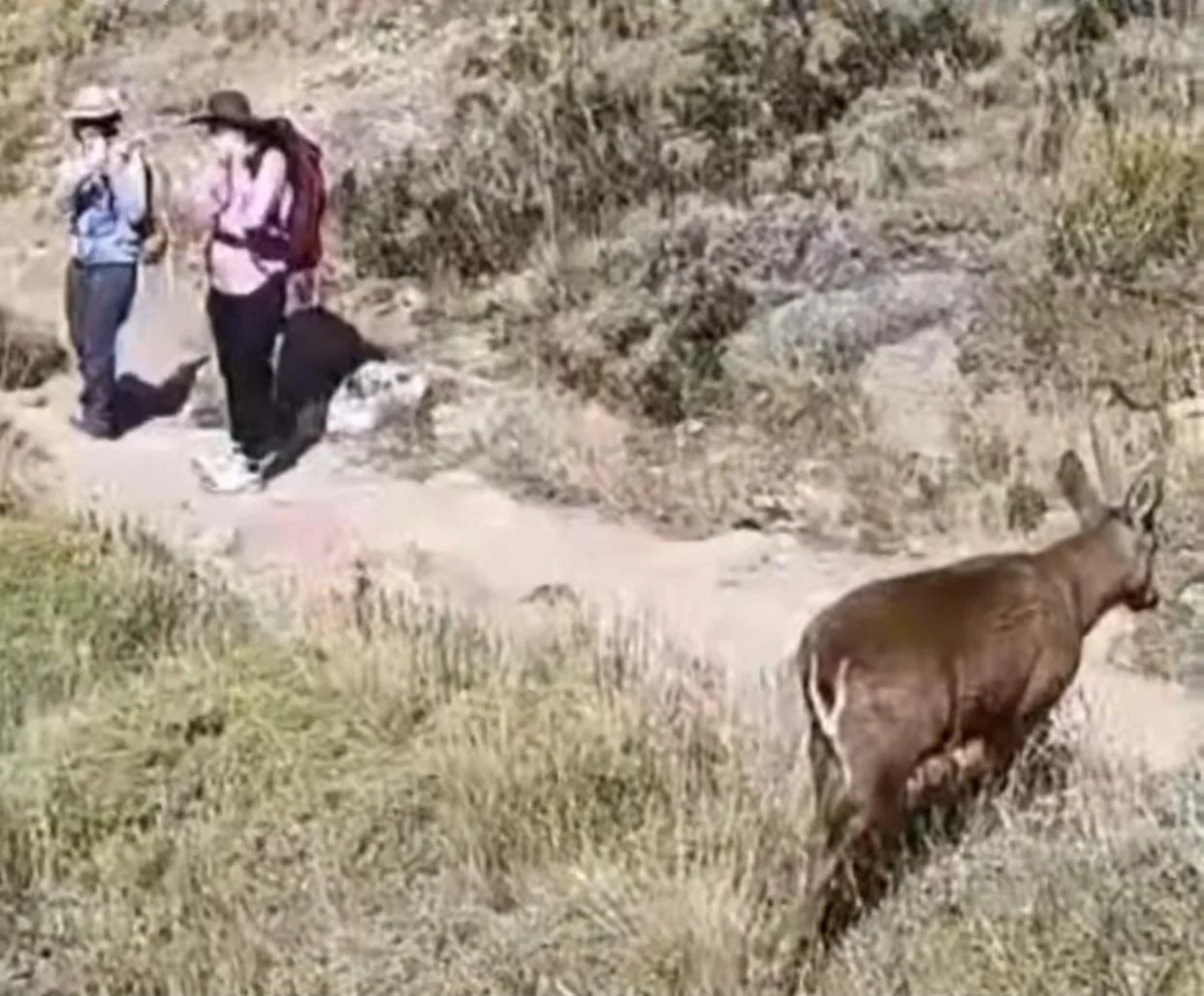 WhatsApp Image 2026-02-19 at 12.24.13