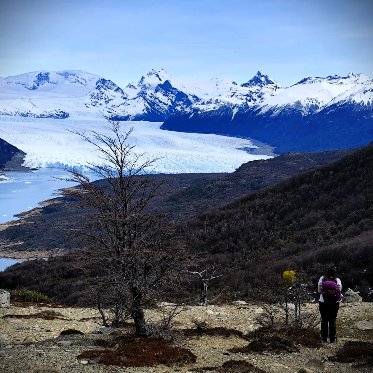 Senderismo peninsula Magallanes1