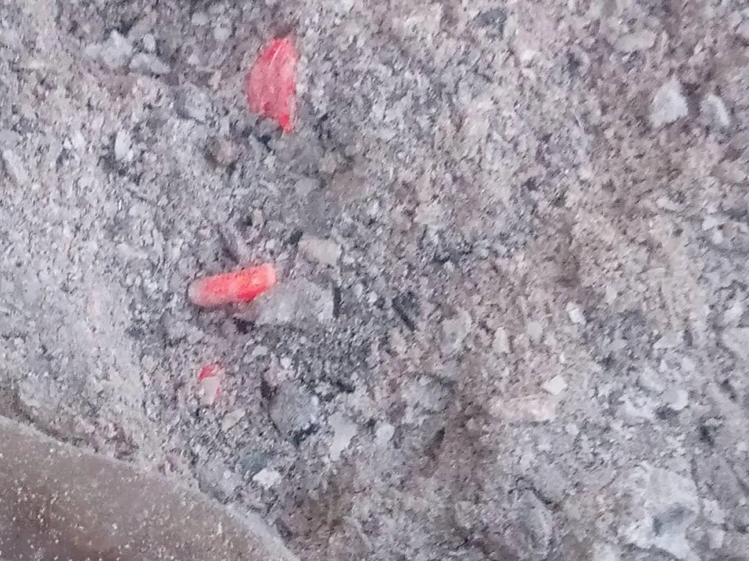 brasas en arroyo calafate1