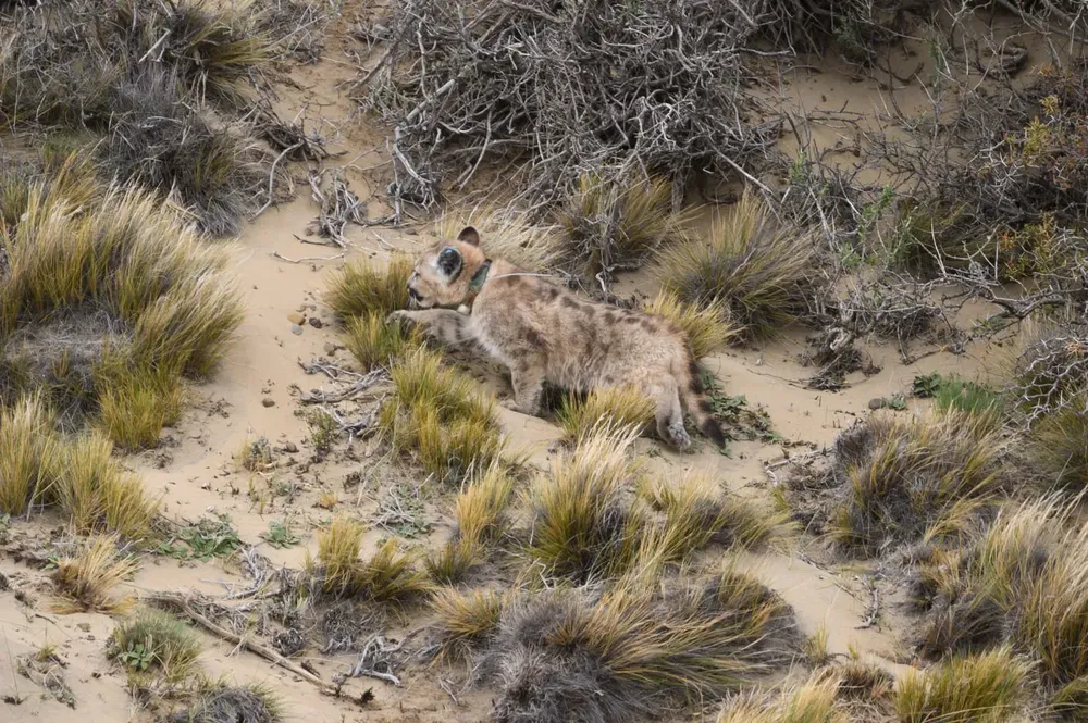 Imagen de WhatsApp 2024-02-08 a las 18.54.54_e38c8d15