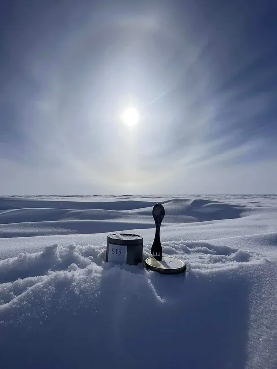 MS-Antartica-2