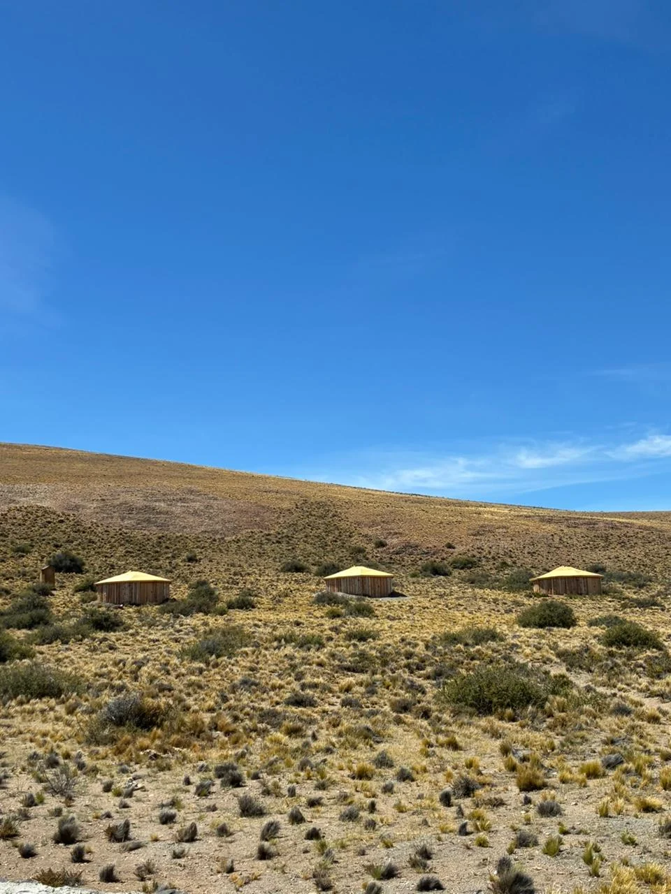 Parque-Patagonia-suma-refugios-en-el-corazon-de-la-estepa-8