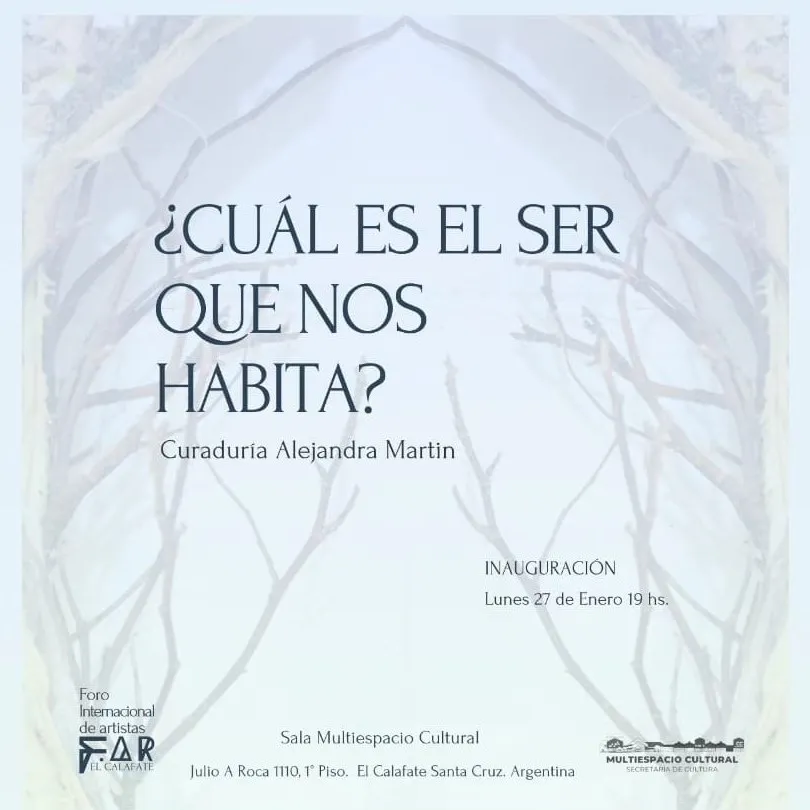 WhatsApp Image 2025-01-26 at 20.54.30