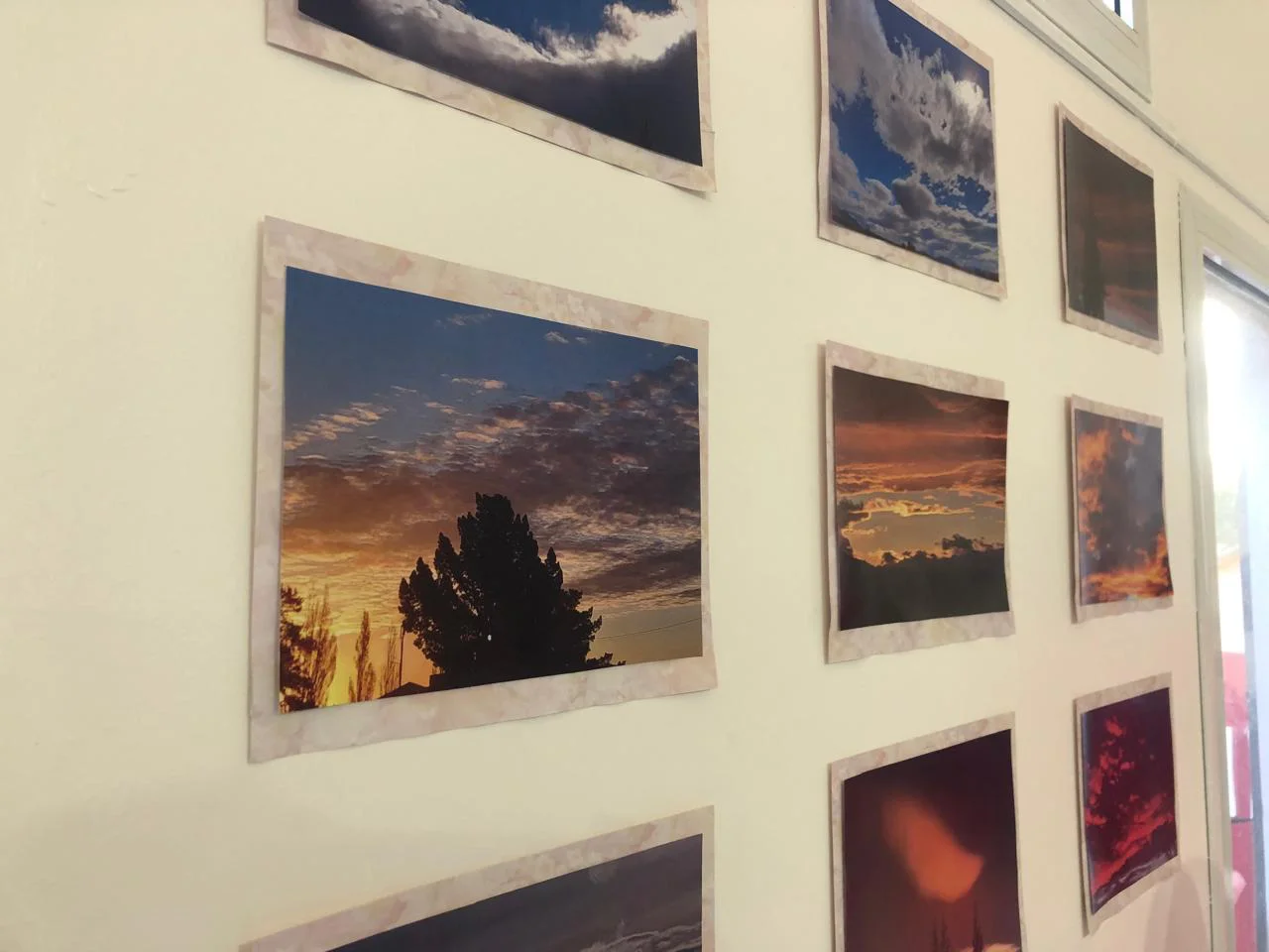 WhatsApp Image 2026-03-16 at 14.16.32(7)