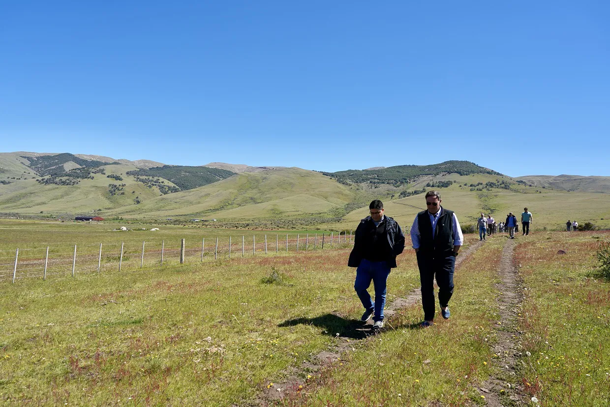 Svori_Estancia_Alice_4