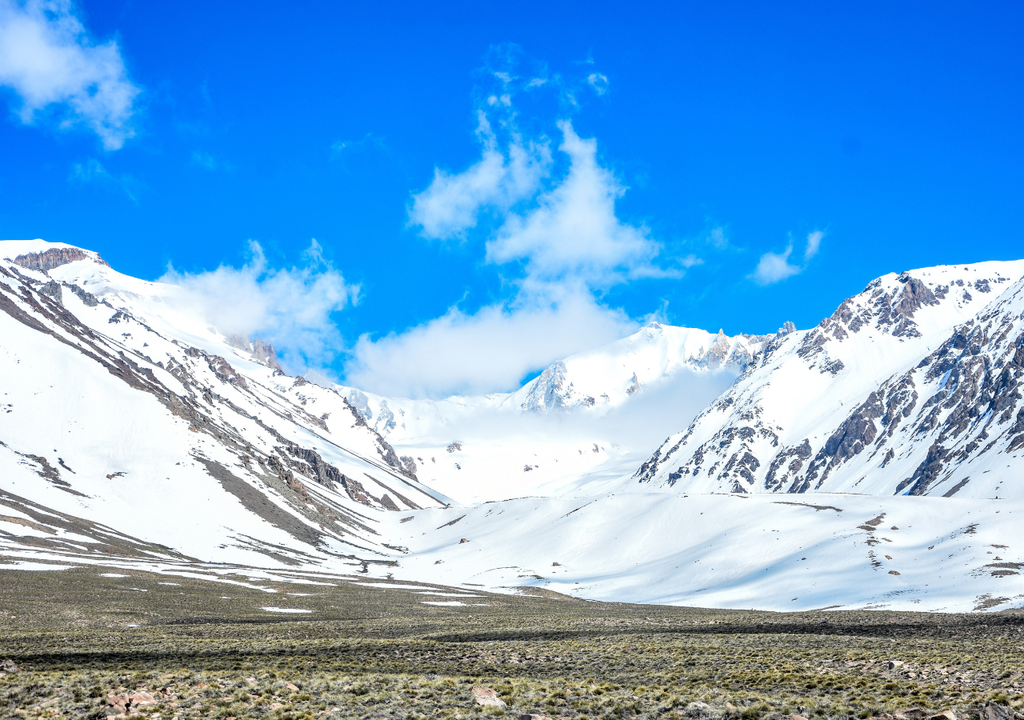 expertos-advierten-que-debilitar-la-ley-de-glaciares-pondria-en-riesgo-a-la-mitad-de-los-vertebrados-en-argentina-1772478596748_1024