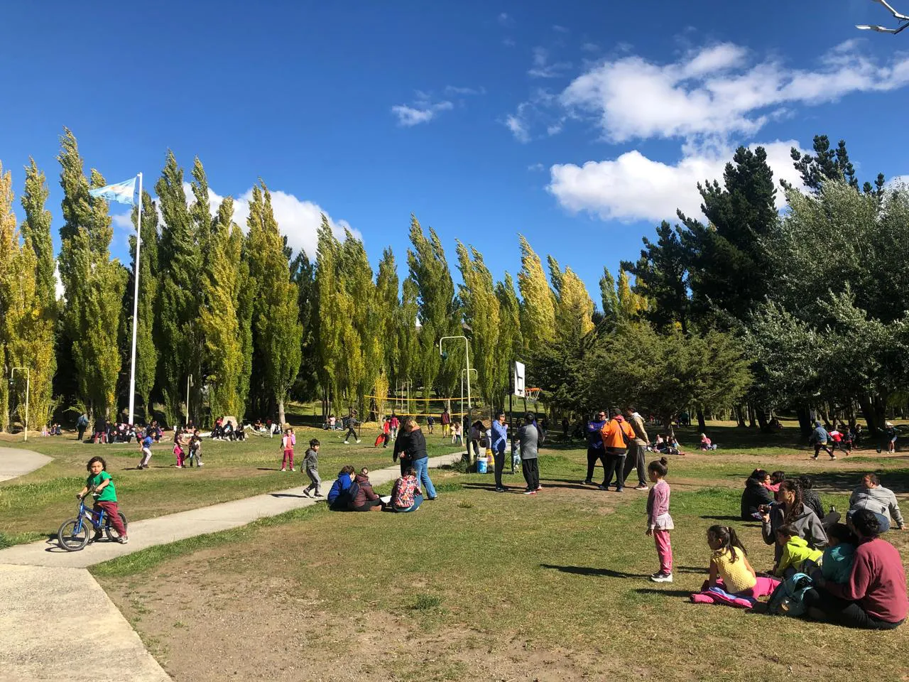 WhatsApp Image 2025-03-03 at 17.45.24