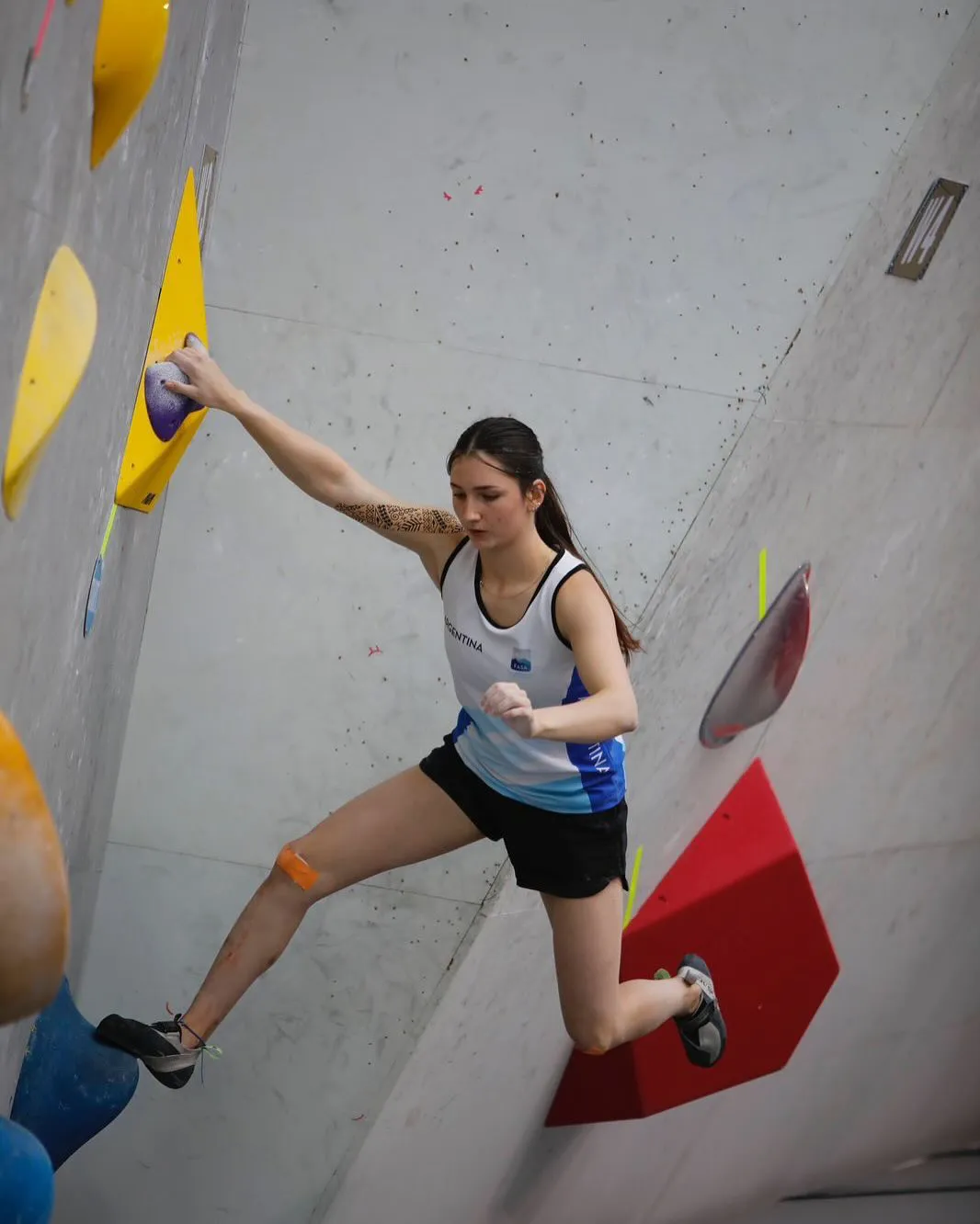 🇧🇷🇦🇷🇪🇨Terminó el circuito de copas sudamericanas!Fue una experiencia única que pude disfru
