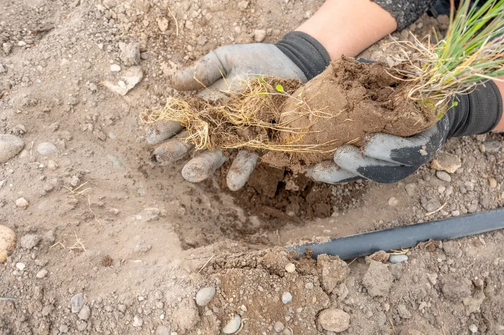 WhatsApp Image 2023-12-11 at 09.10.38