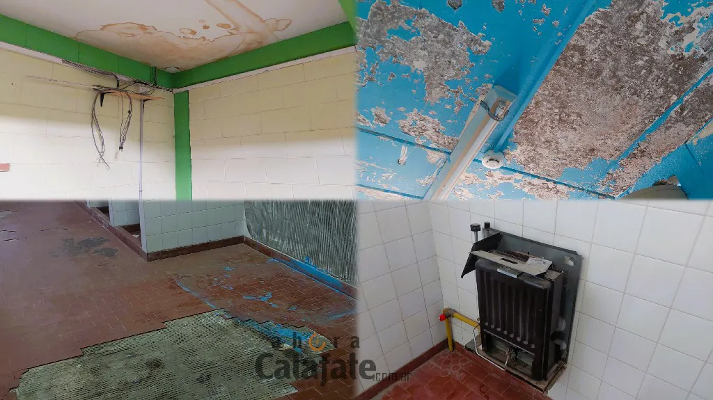 InShot_20250306_081506243~1