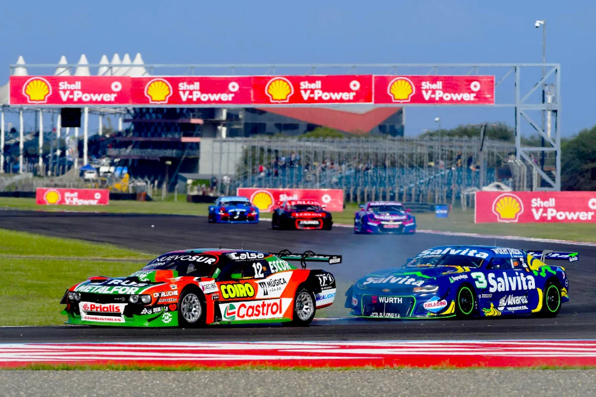 castellano-ciantini-shell