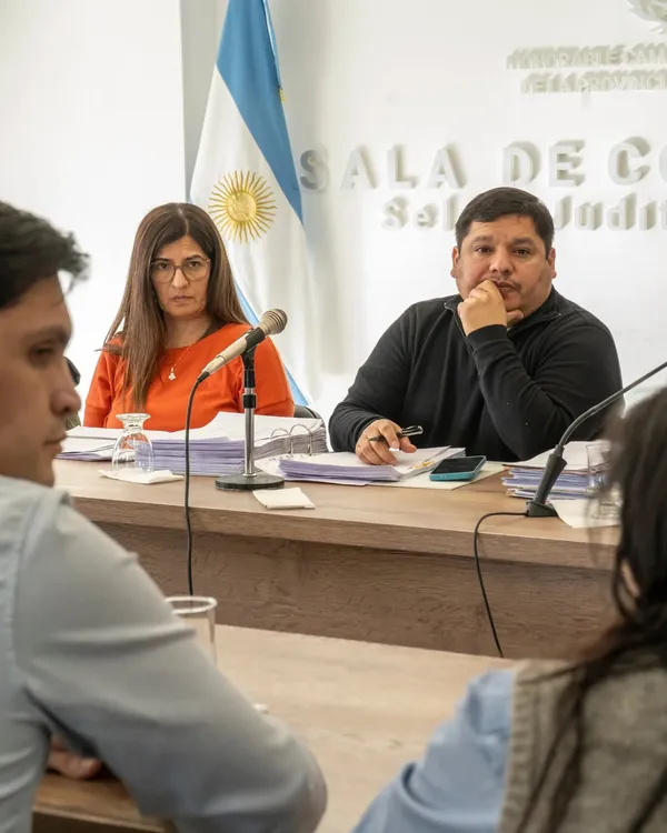 Comisioon recursos naturales