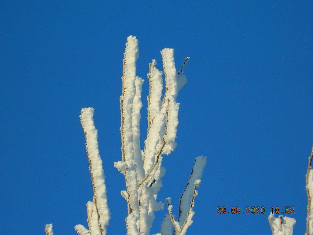 La Esperanza Helada 5