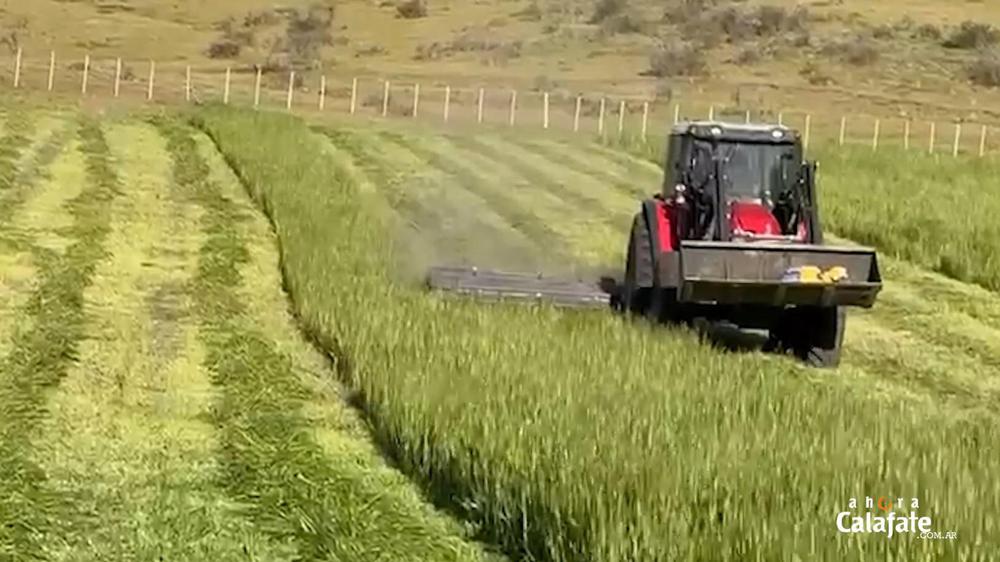 Cerro Frias7 [AUDIO FMD]