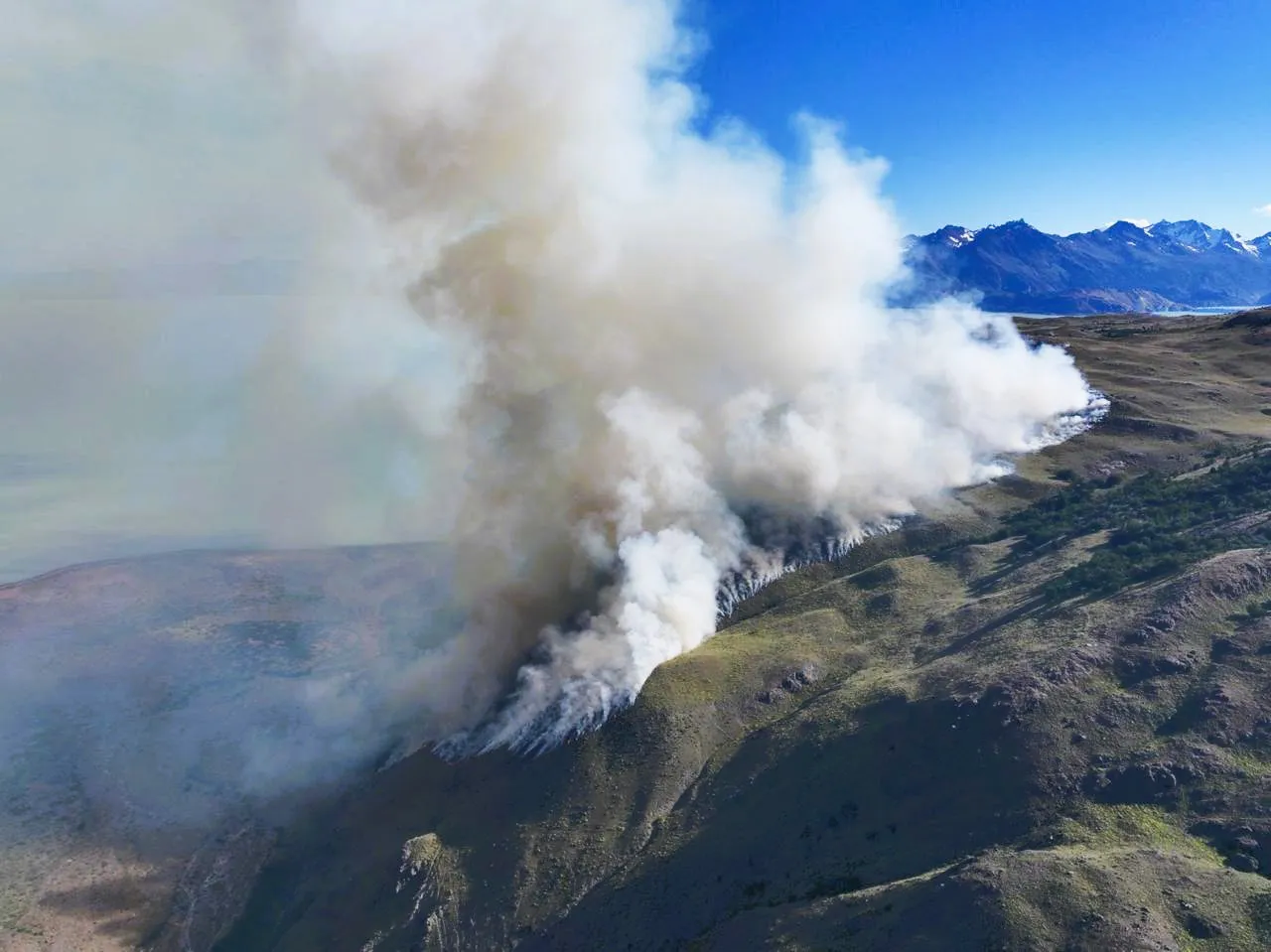 WhatsApp Image 2026-01-04 at 21.17.59