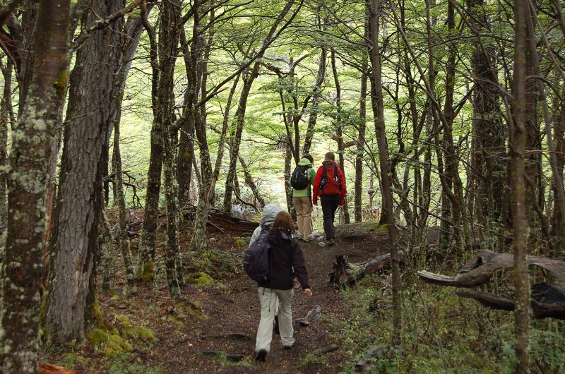 Aguas_Arriba_reserva_provincial_lago_del_desierto_1
