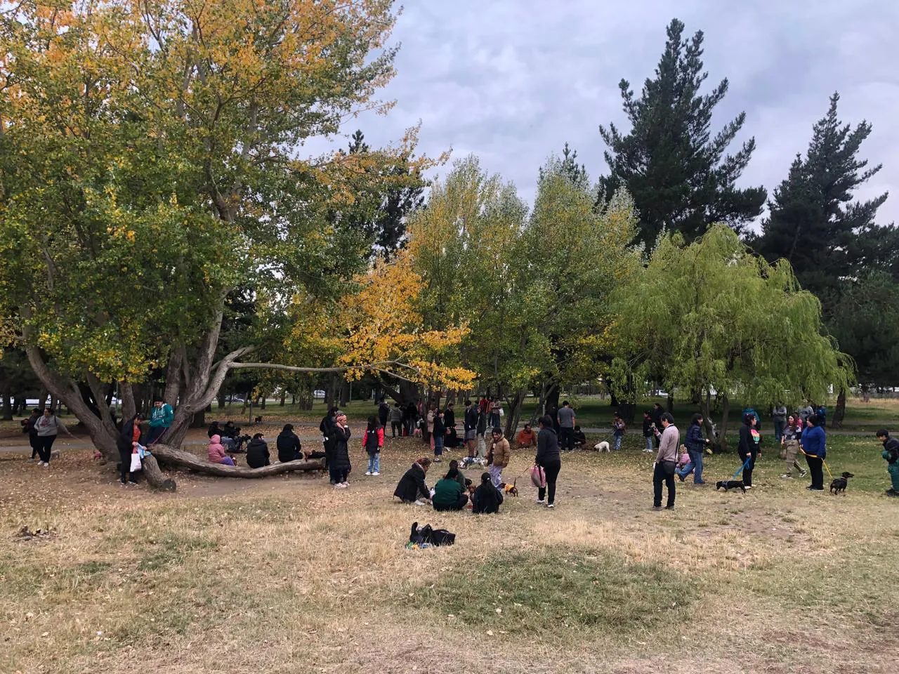 WhatsApp Image 2025-03-23 at 19.14.51(1)