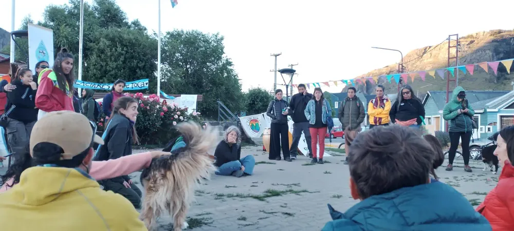 WhatsApp Image 2026-02-04 at 22.50.18 (1)