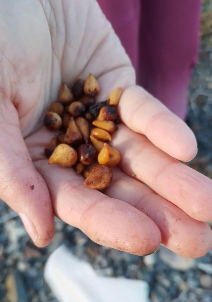 WhatsApp Image 2024-08-28 at 13.31.12(2)