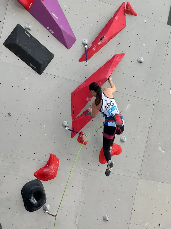 Imagen de WhatsApp 2024-12-16 a las 10.46.23_ee477001