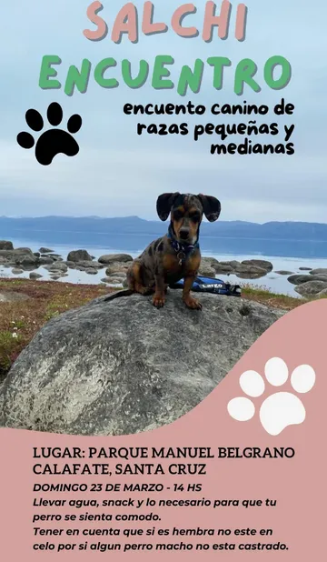 Screenshot 2025-03-20 at 09-00-41 multimedia.normal.ad8343dff798f087.bm9ybWFsLndlYnA .webp (Imagen WEBP 720 × 1280 pixels) - Escala (50%)