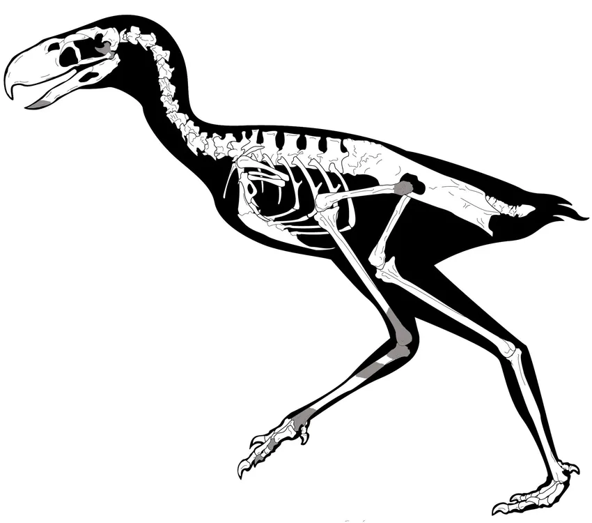 488223027_1196455532489843_332412981107764524_n