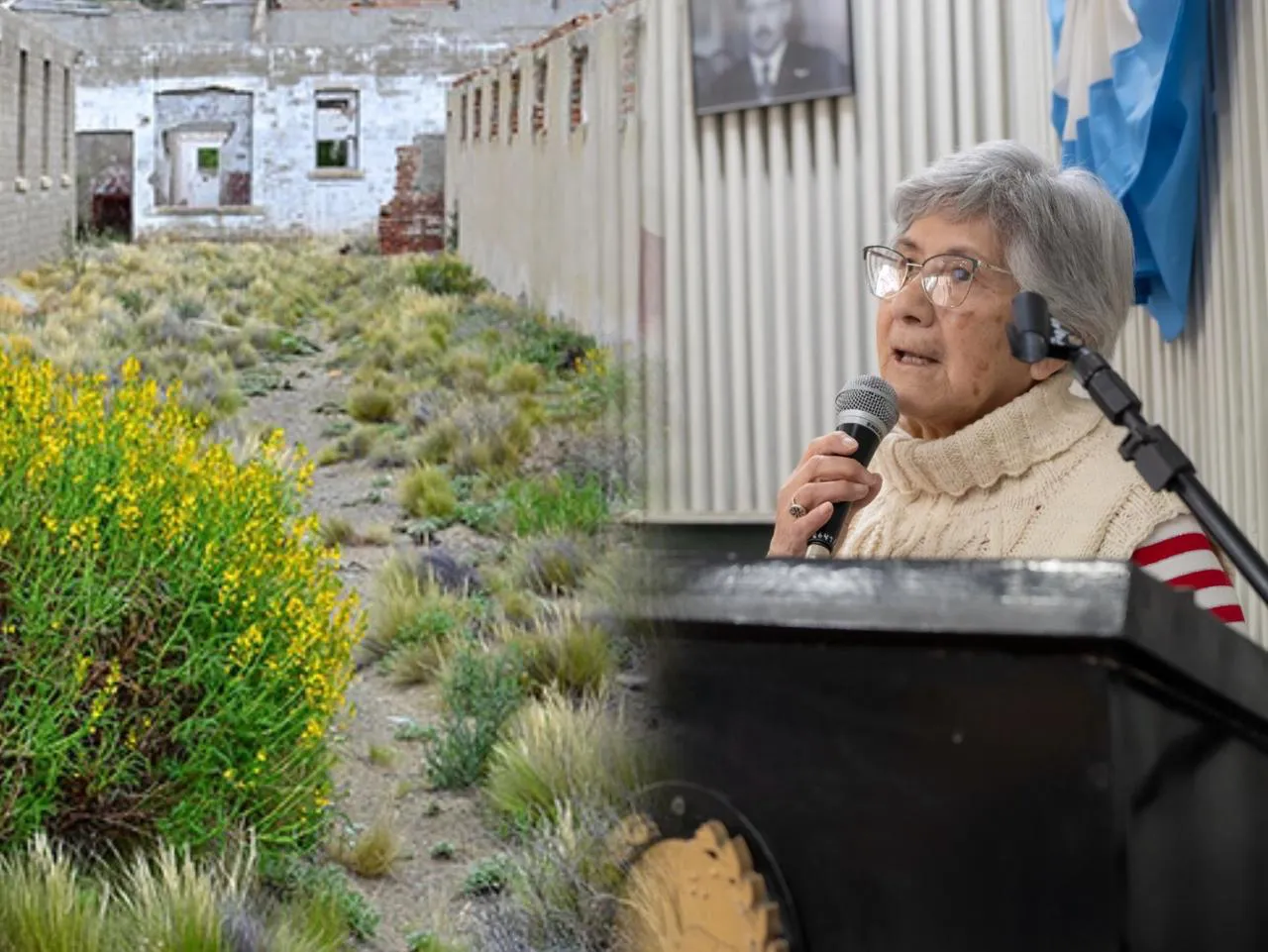 WhatsApp Image 2025-09-02 at 14.26.10