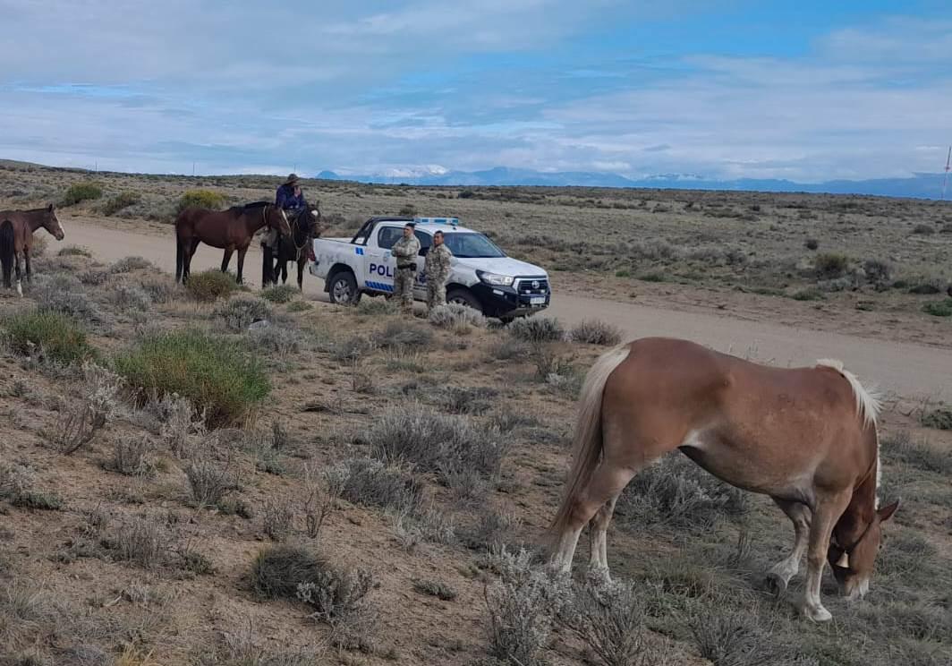 caballos secuestrados 2
