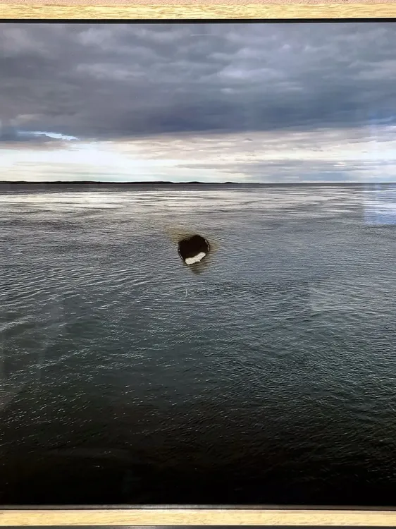 589274567_1141632688132680_2731771039112814914_n