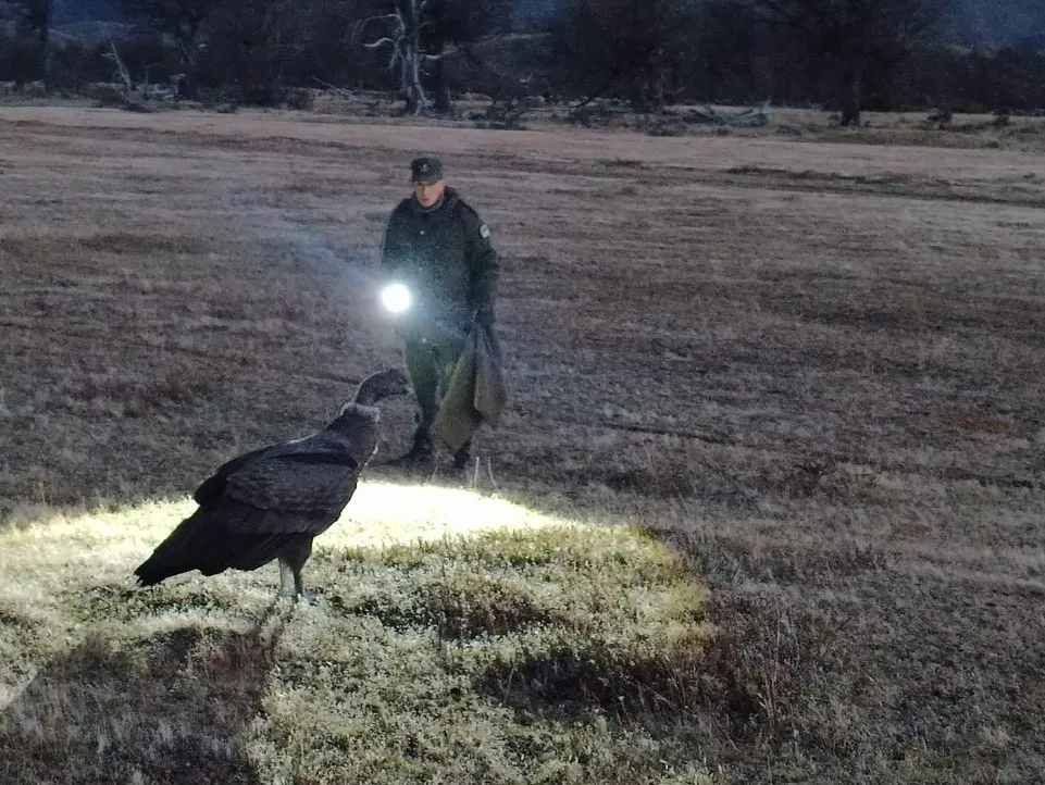 497864331_18369161965132608_5097795907668293429_n