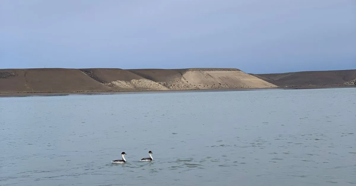 492608859_1090265736466915_8044323071335149745_n