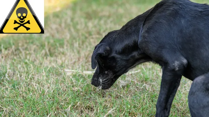 7639D99F-2E21-4399-9D5E-F23B7402D857