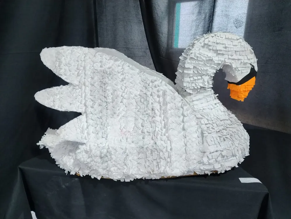 WhatsApp Image 2025-10-22 at 20.07.42(3)