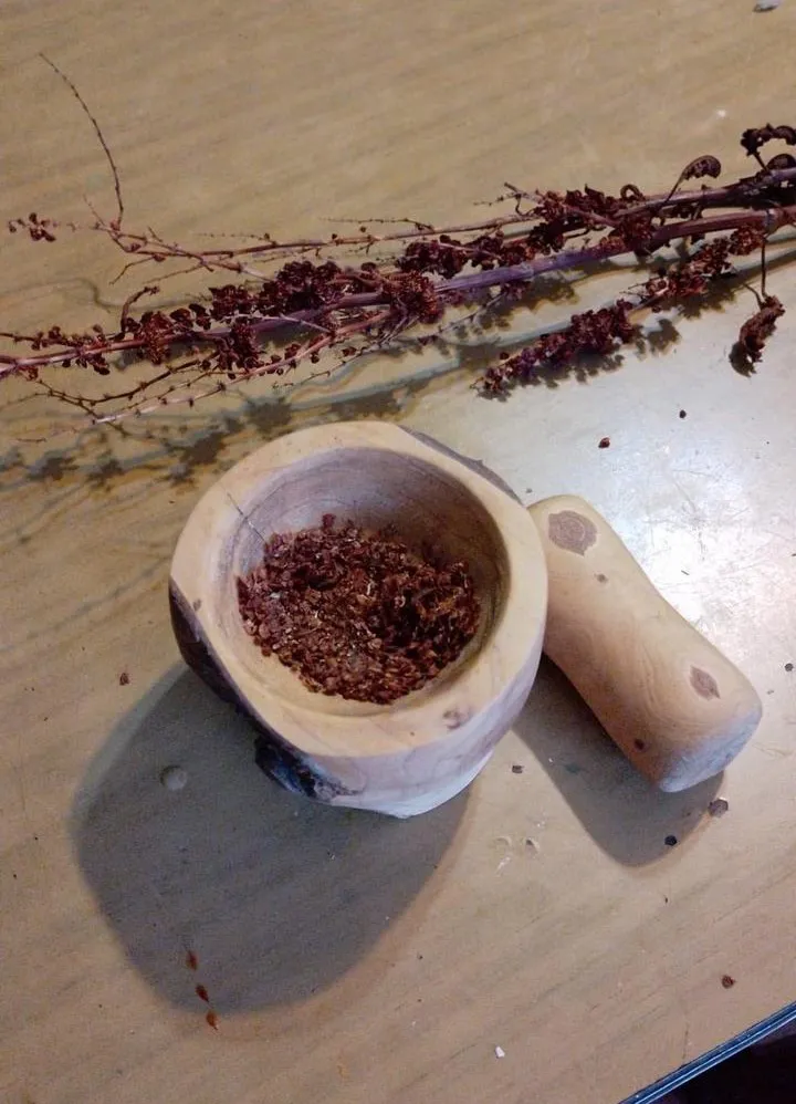 WhatsApp Image 2024-08-28 at 13.31.12(3)