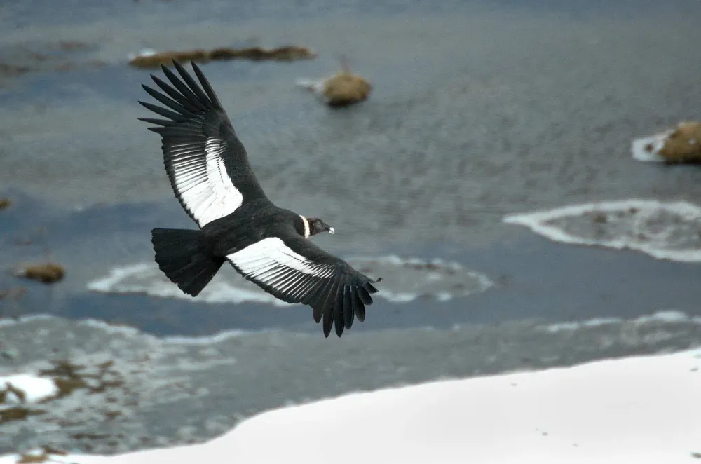 517708065_1154645773359719_7980938572237056671_n