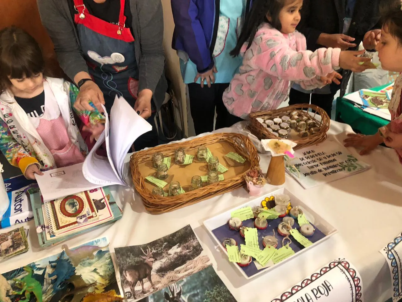 WhatsApp Image 2024-11-05 at 07.49.10