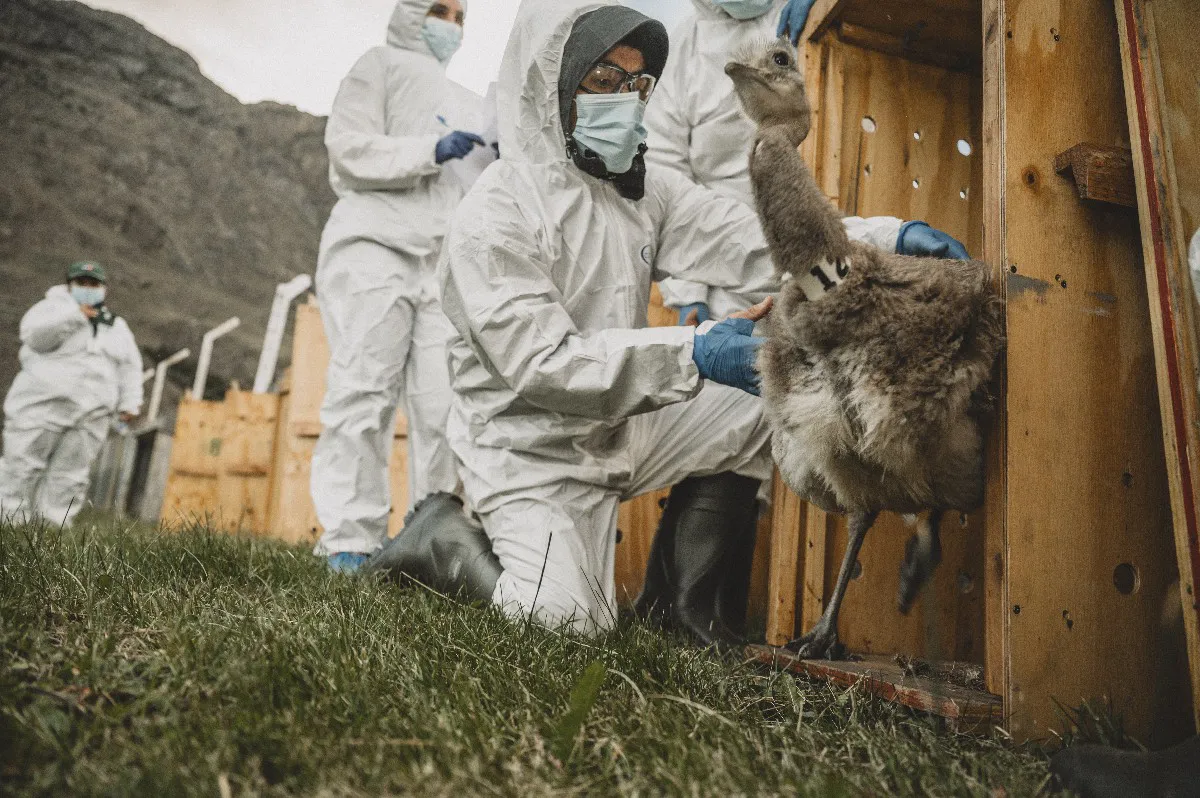 marcelo_mascareno-0656~1