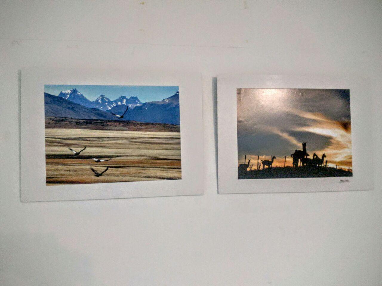 f4431806-3a44-4eb5-8d2e-8d7f3ba4118e