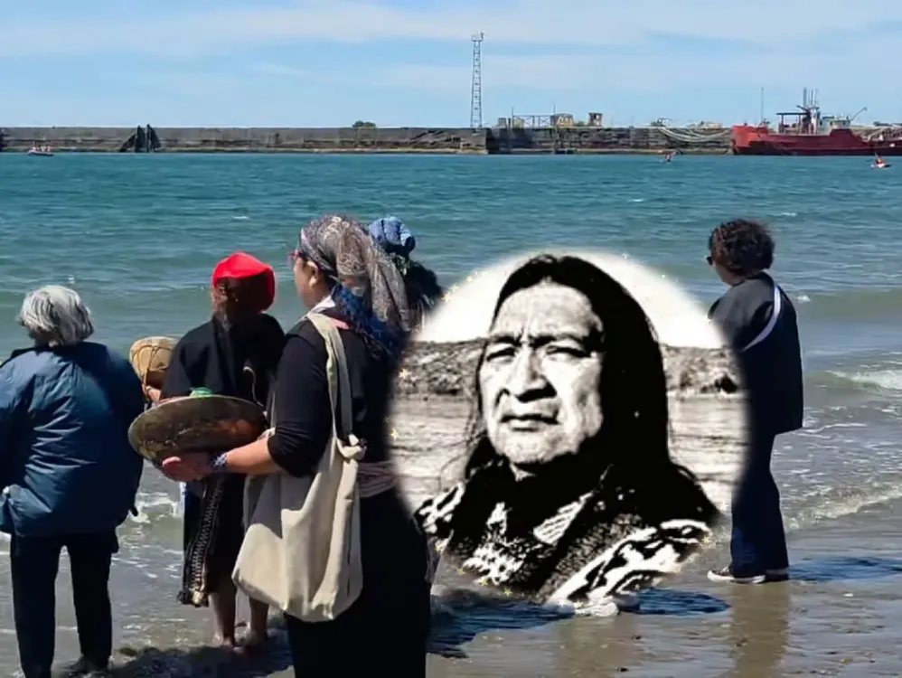 WhatsApp Image 2026-01-19 at 13.17.41