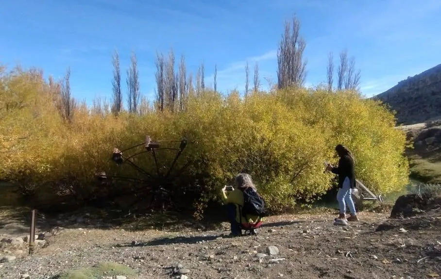 491789083_1064216779074686_2162837821651542417_n