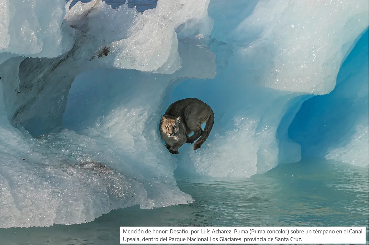 8FB2E7EE-E0C1-4567-8E21-74A9F7691616