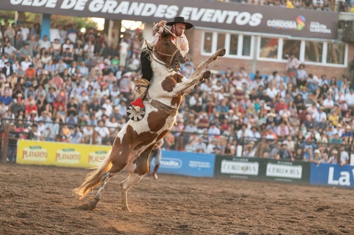 131826_65_vic9631.jpg_1200